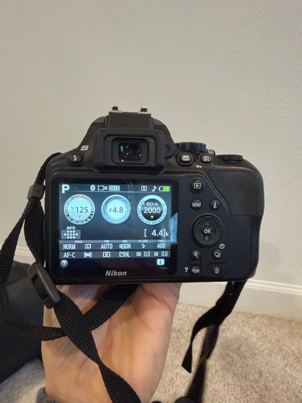 Nikon dslr two